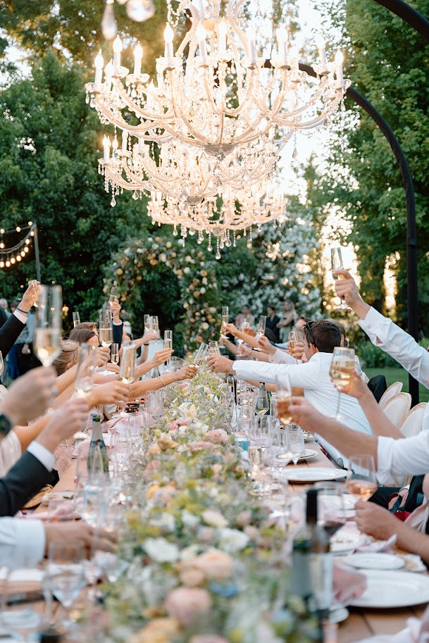 Signature Strelitzia